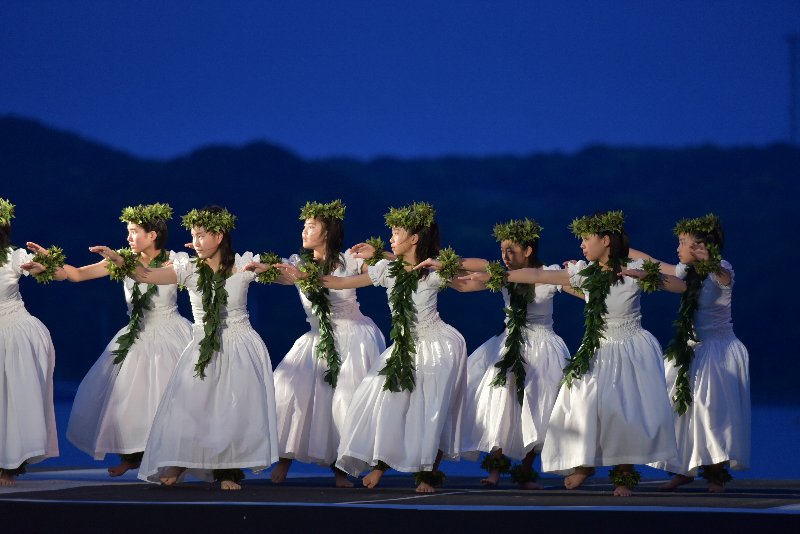 フラショー15 フラショー15