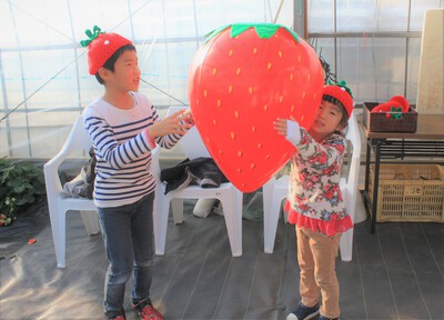 ㉘いちご狩り画像 ㉘いちご狩り画像